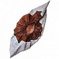 Ламинированные бахилы  фото